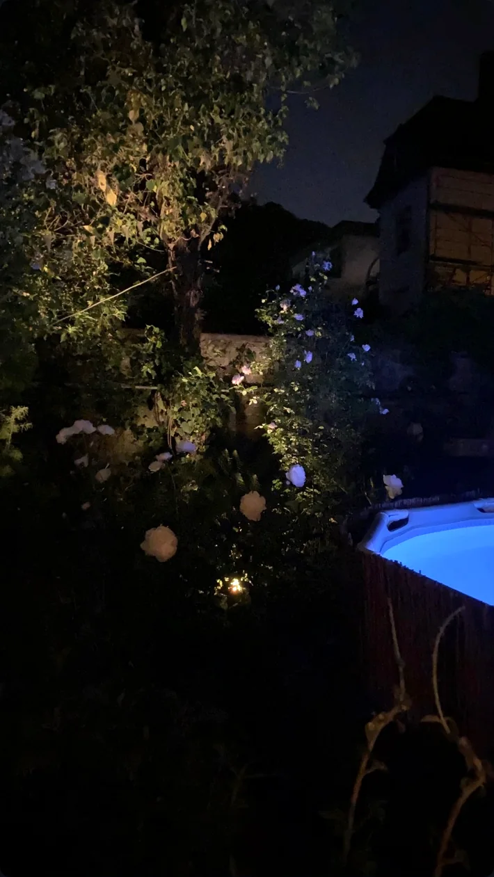 The night garden lit by warm light and a glowing blue pool